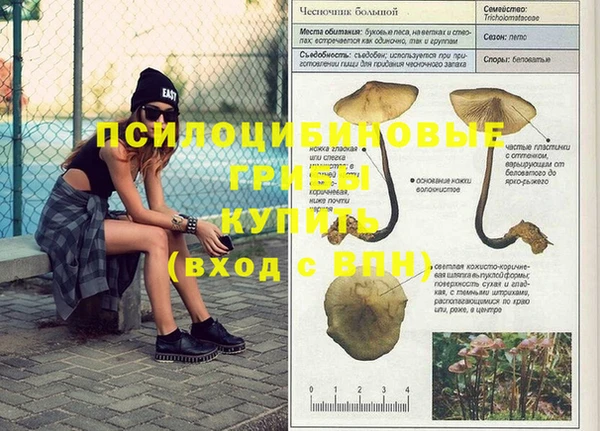марки nbome Абдулино