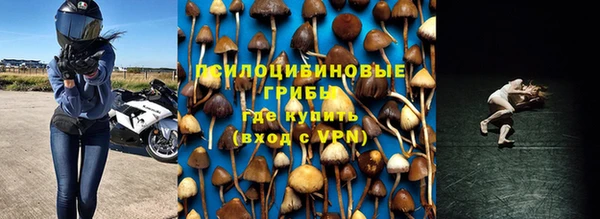 индика Алексеевка