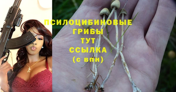 индика Алексеевка