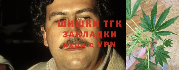 индика Алексеевка