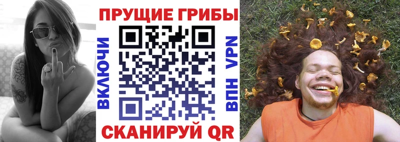 кракен маркетплейс  сколько стоит  Княгинино  Псилоцибиновые грибы ЛСД 