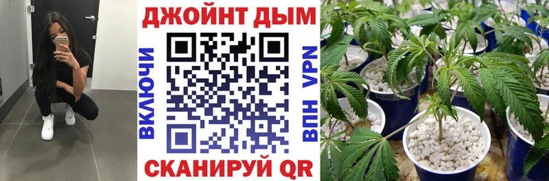 Марихуана конопля  Княгинино 